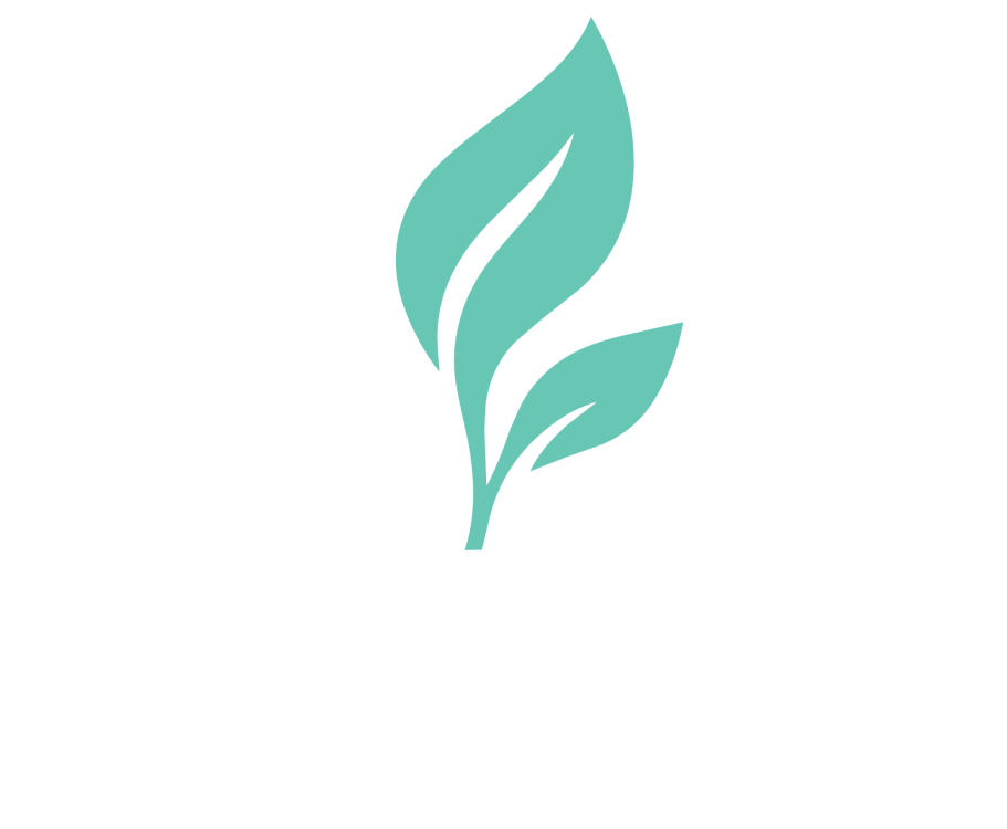 logo of leaf growing